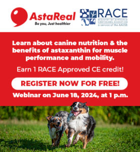 AstaReal RACE approved course webinar announcement June 18, 2024 at 1pm with image of two Australian Shepphard dogs running on grass